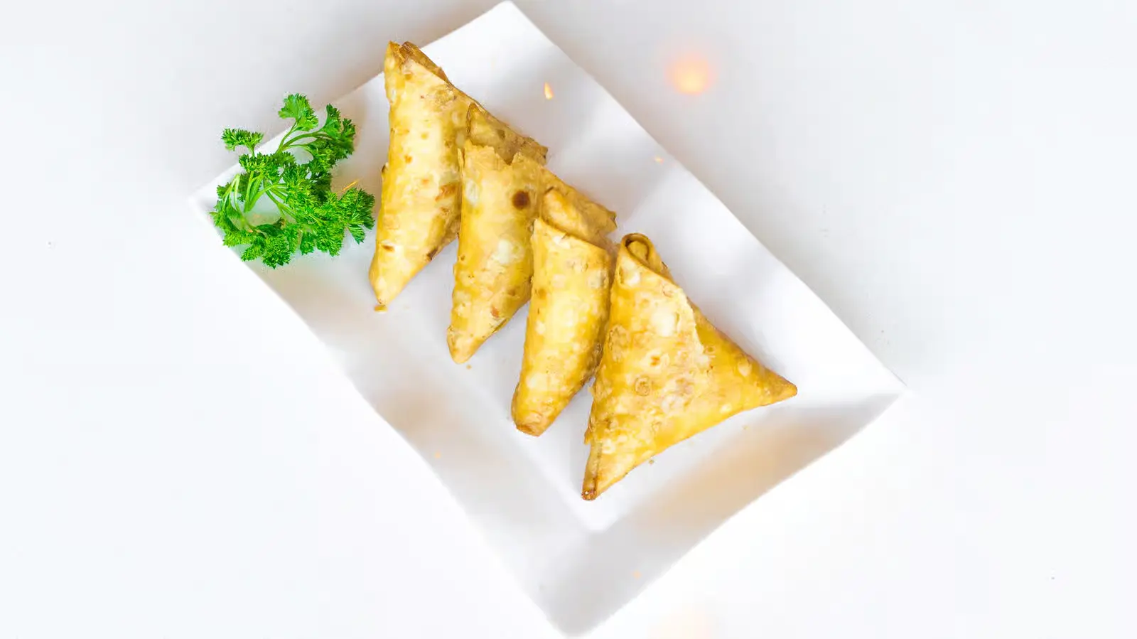 Delicious Chicken Samosa at Donair Grill in Calgary, AB