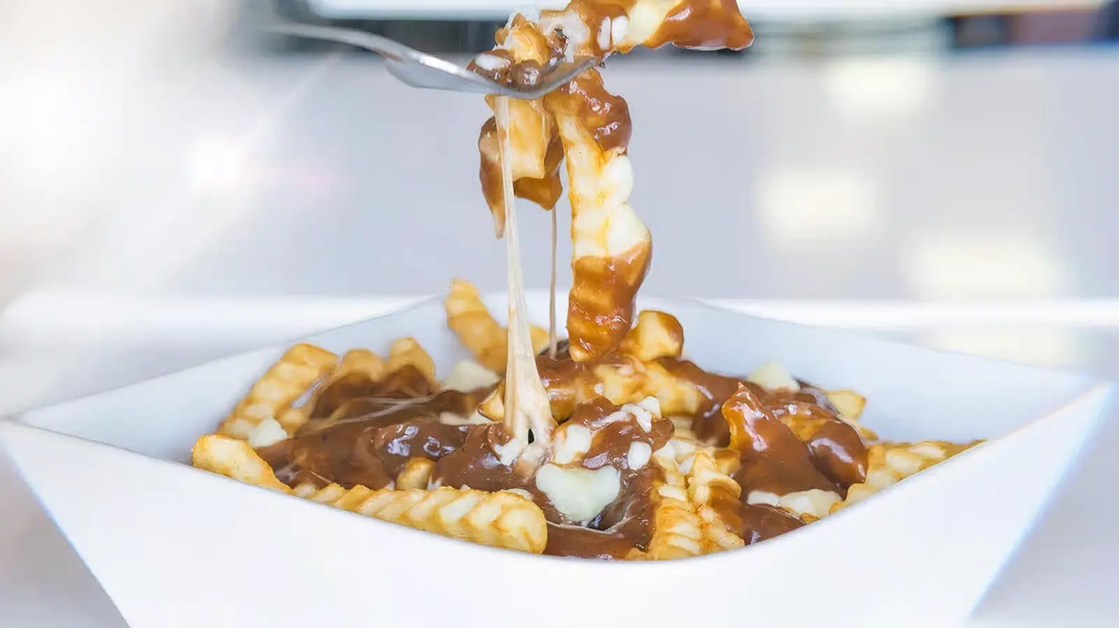 Delicious Poutine at Donair Grill in Calgary, AB